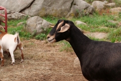 CP5789