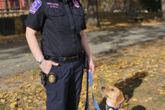 20241031_105300 20241031_105300